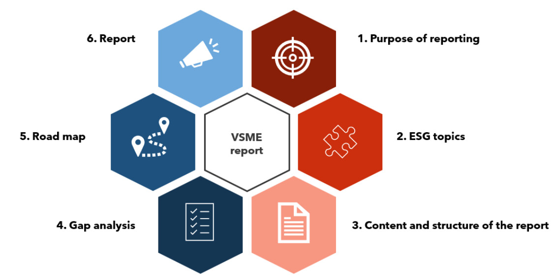 vsme-report.jpg